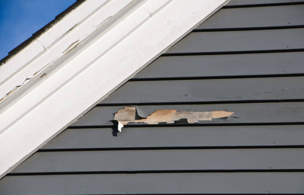 Best Shed Removal  in Okeechobee, FL