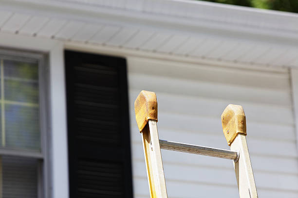 Best Yard Waste Removal  in Okeechobee, FL